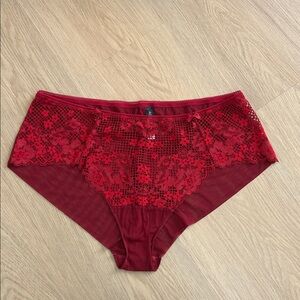 Adore Me Cinthia Hipster Lace Mesh Panty 2X